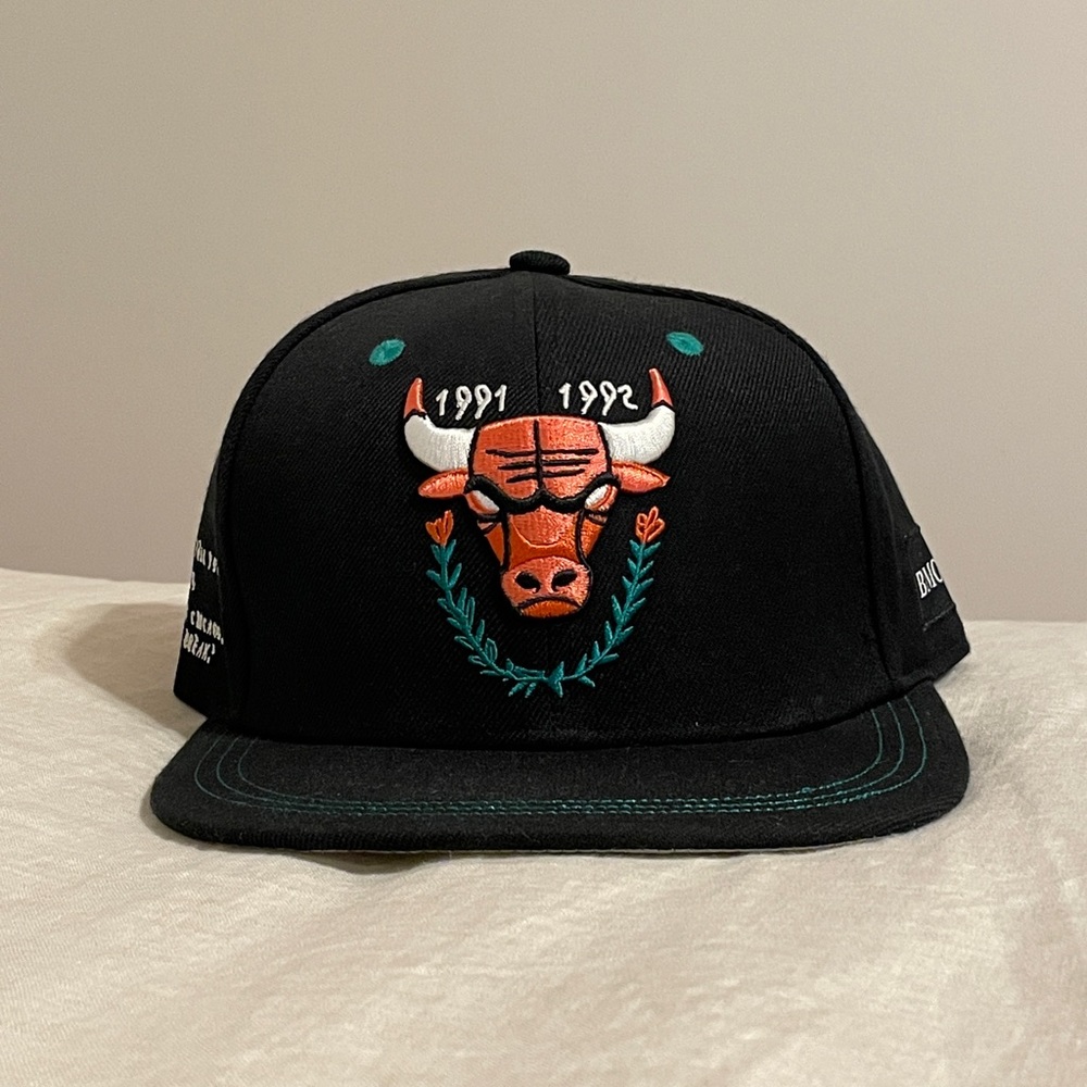 Chicago Bulls Artist Edition Snap Back Hat (David Heo)